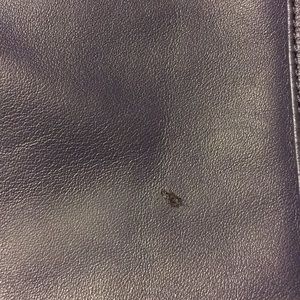 Coach green leather bag